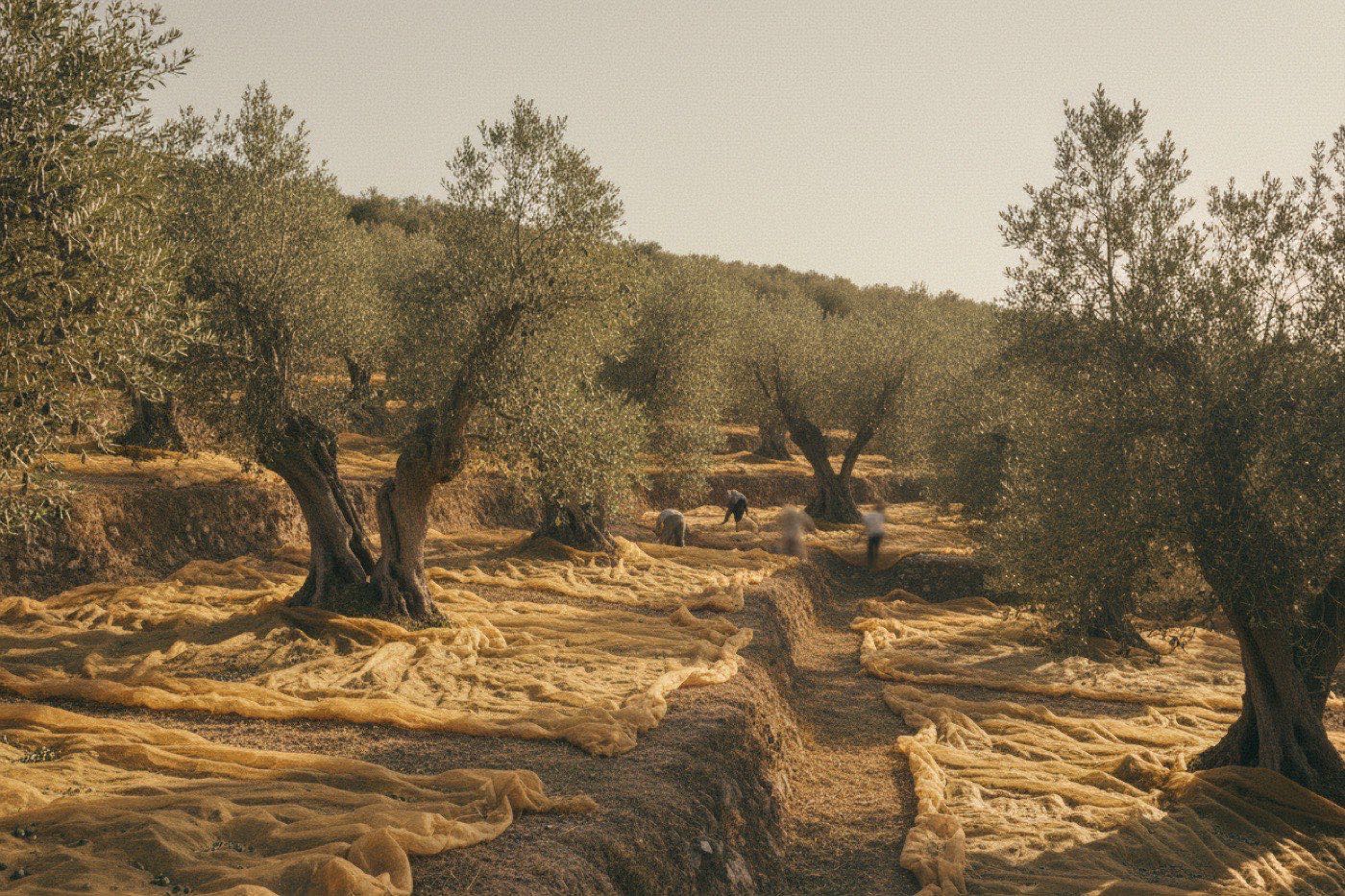 An 8-Day Tuscan Countryside Escape